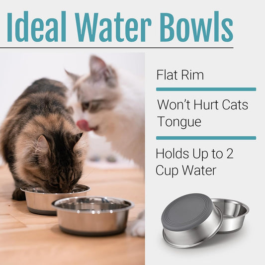 Wide Stainless Steel Pet Bowls